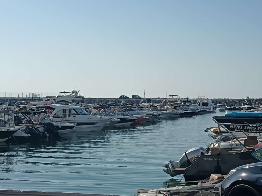 Photo 2025 08 19 13 40 10